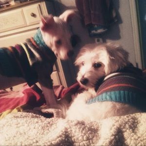 Meet your Posher, Vanessa